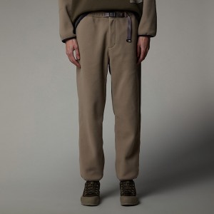 Calças The North Face Casual Fleece Masculino Bege | NF0A92W6W