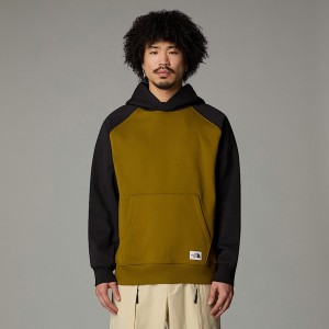 Moletom com Capuz The North Face Heritage Masculino Verdes | NF0A23J2O