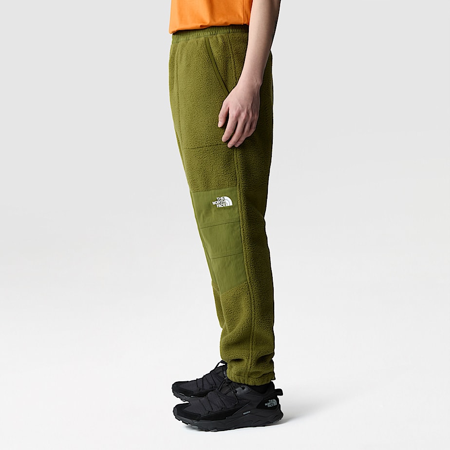 Calças The North Face Ripstop Denali Masculino Verdes | NF0A49L4Q