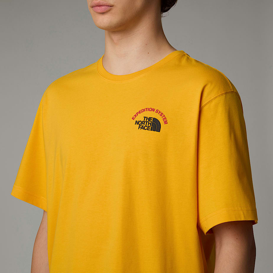 Camiseta The North Face Anniversary Masculino Douradas | NF0A26N1I