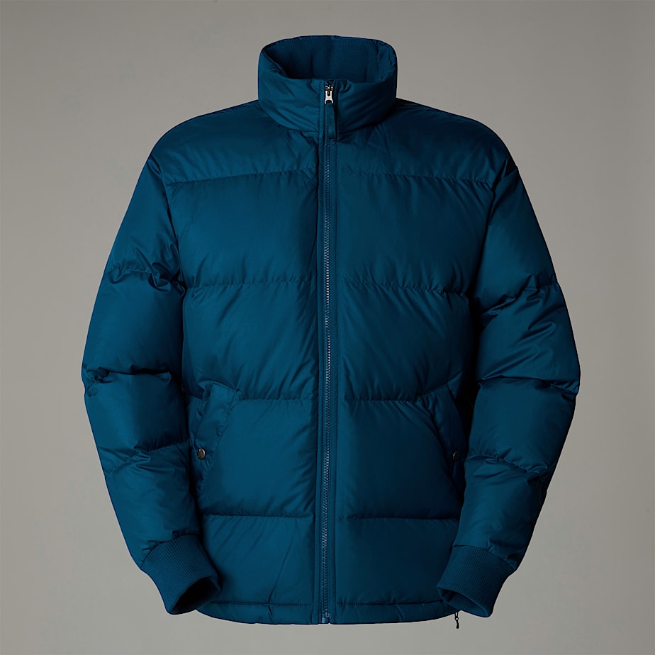 Casacos De Penas The North Face Down Paralta Masculino Azul Marinho | NF0A17P8N