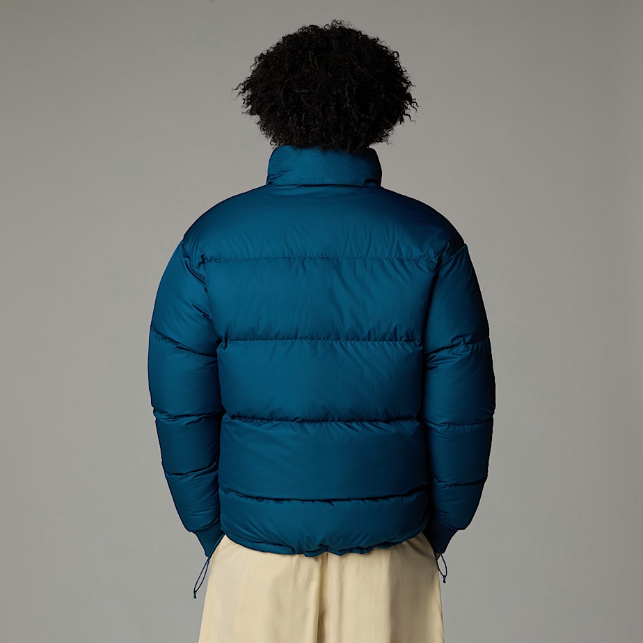 Casacos De Penas The North Face Down Paralta Masculino Azul Marinho | NF0A17P8N