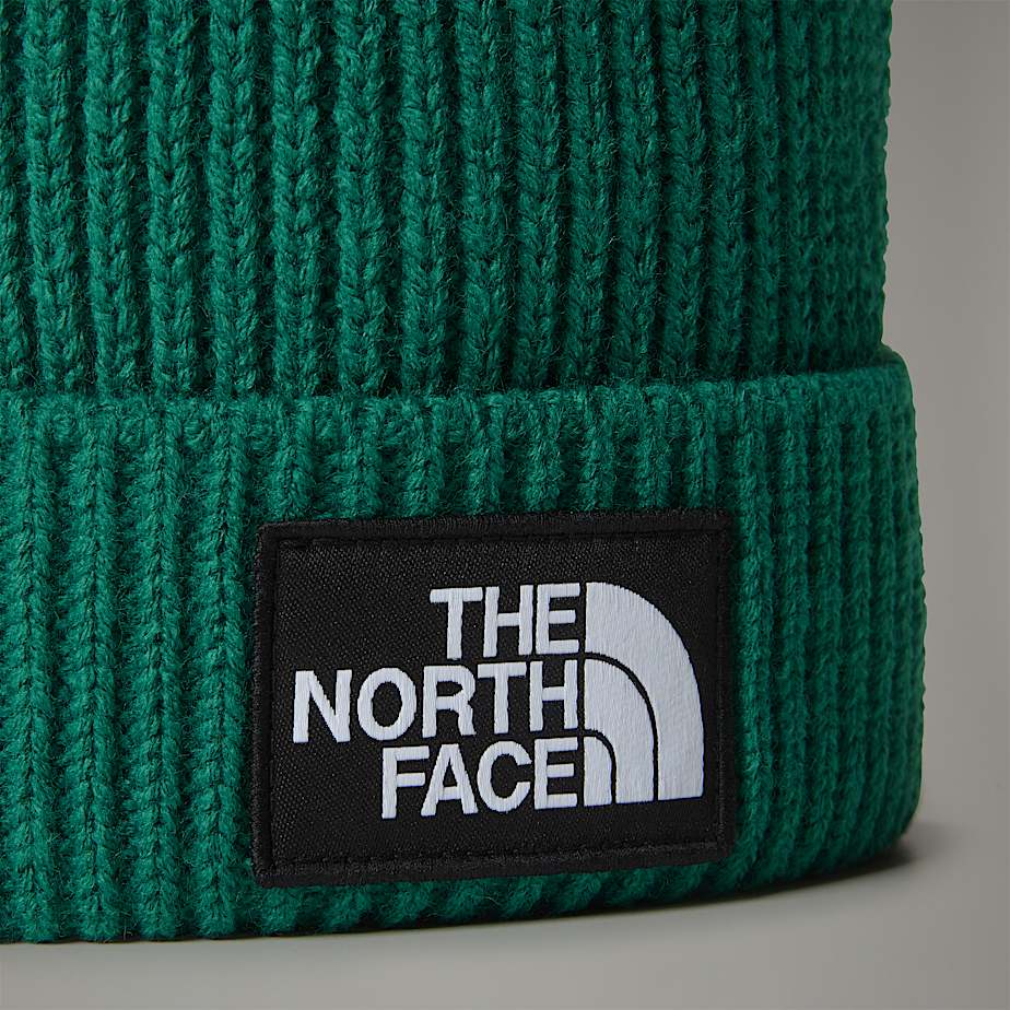 Gorro The North Face Logo Box Pom Masculino Verdes | NF0A61F3H