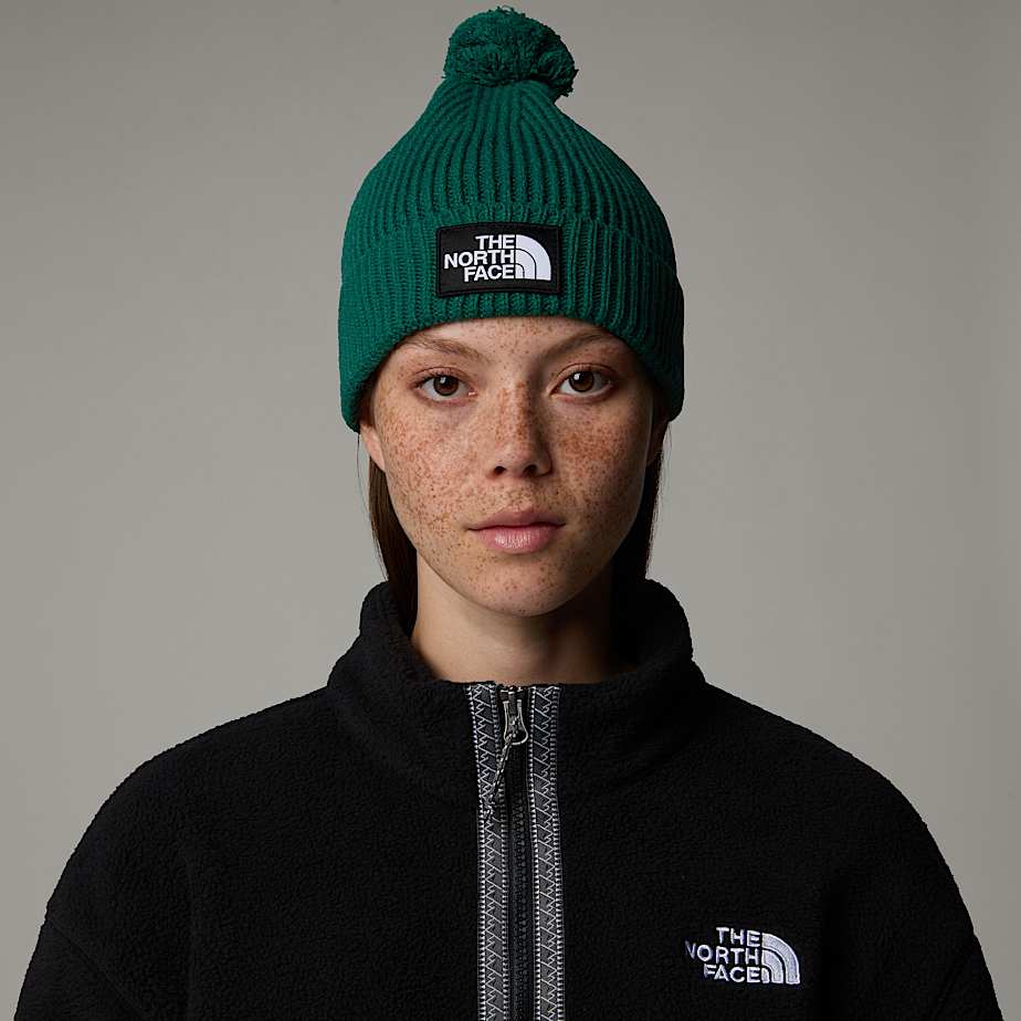 Gorro The North Face Logo Box Pom Masculino Verdes | NF0A61F3H