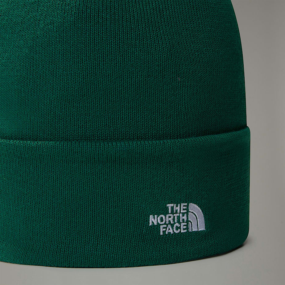 Gorro The North Face Norm Feminino Verdes | NF0A93T7A