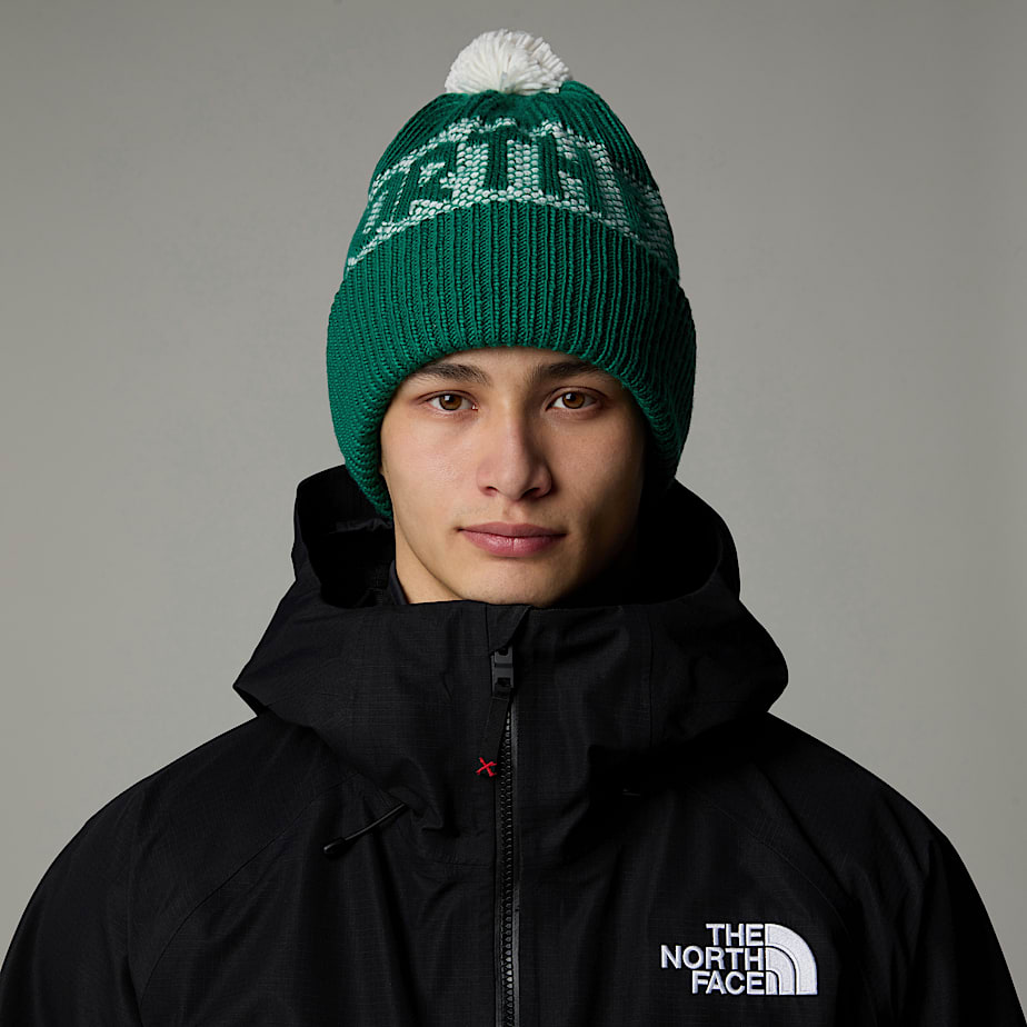 Gorro The North Face Retro Cabin Feminino Verdes | NF0A03D2P