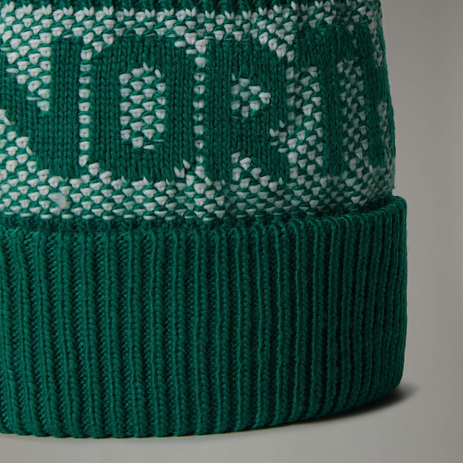 Gorro The North Face Retro Cabin Feminino Verdes | NF0A03D2P