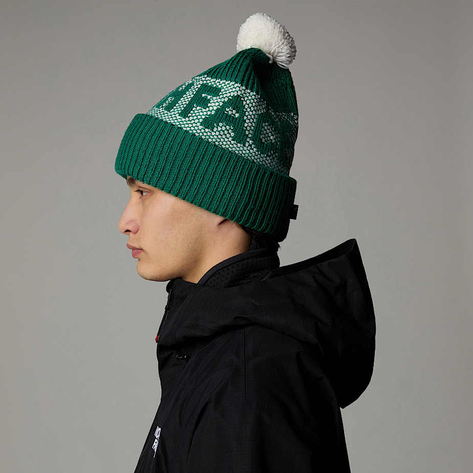 Gorro The North Face Retro Cabin Feminino Verdes | NF0A03D2P