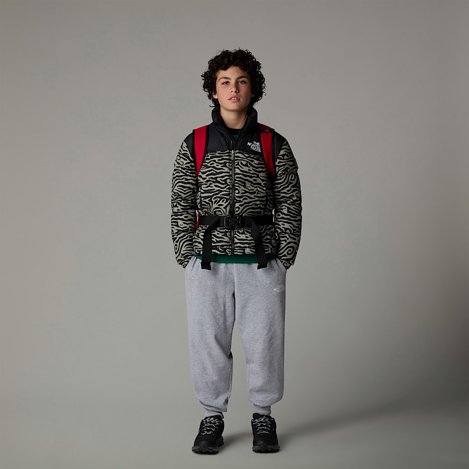 Jaquetas The North Face 1996 Retro Nuptse Criança Cinzentas | NF0A72J9O