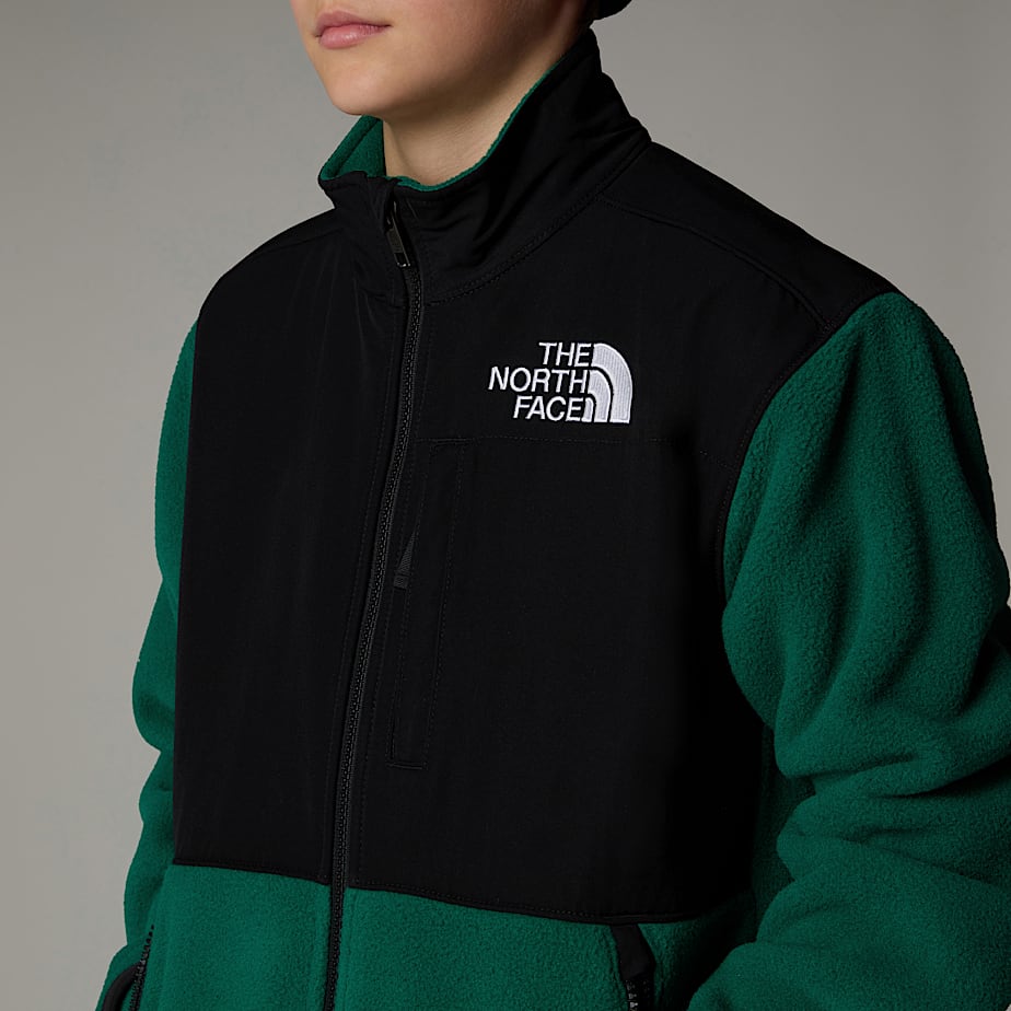 Jaquetas The North Face Denali Criança Verdes | NF0A65L4U