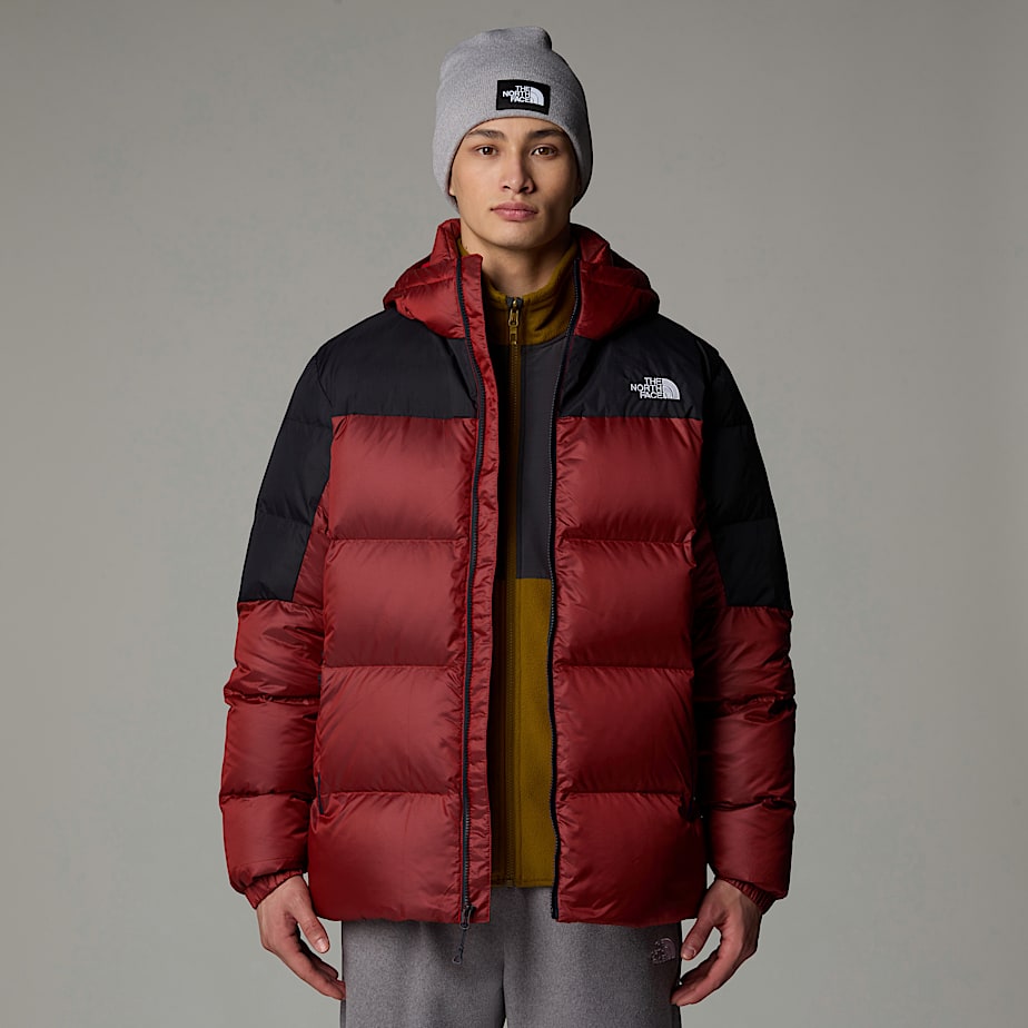 Jaquetas The North Face Diablo Down 2.0 Hooded Masculino Vermelhas | NF0A21J8C