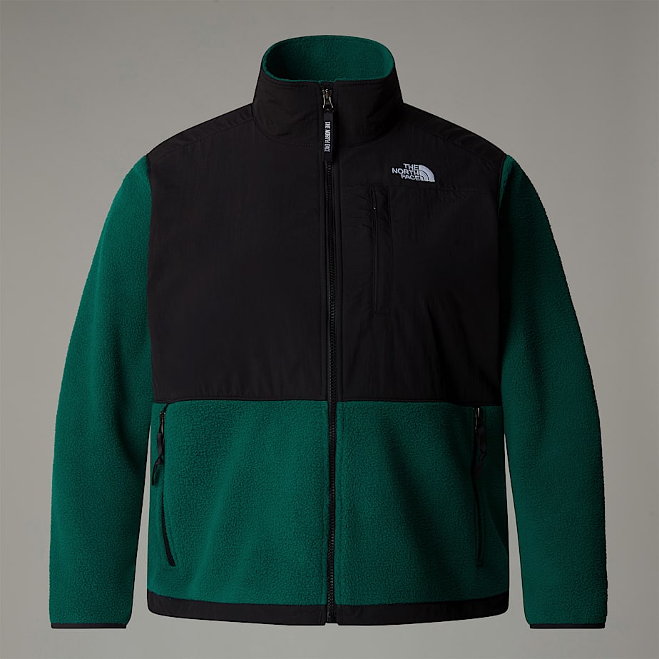 Jaquetas The North Face Plus Size Retro Denali Feminino Verdes | NF0A93P5J
