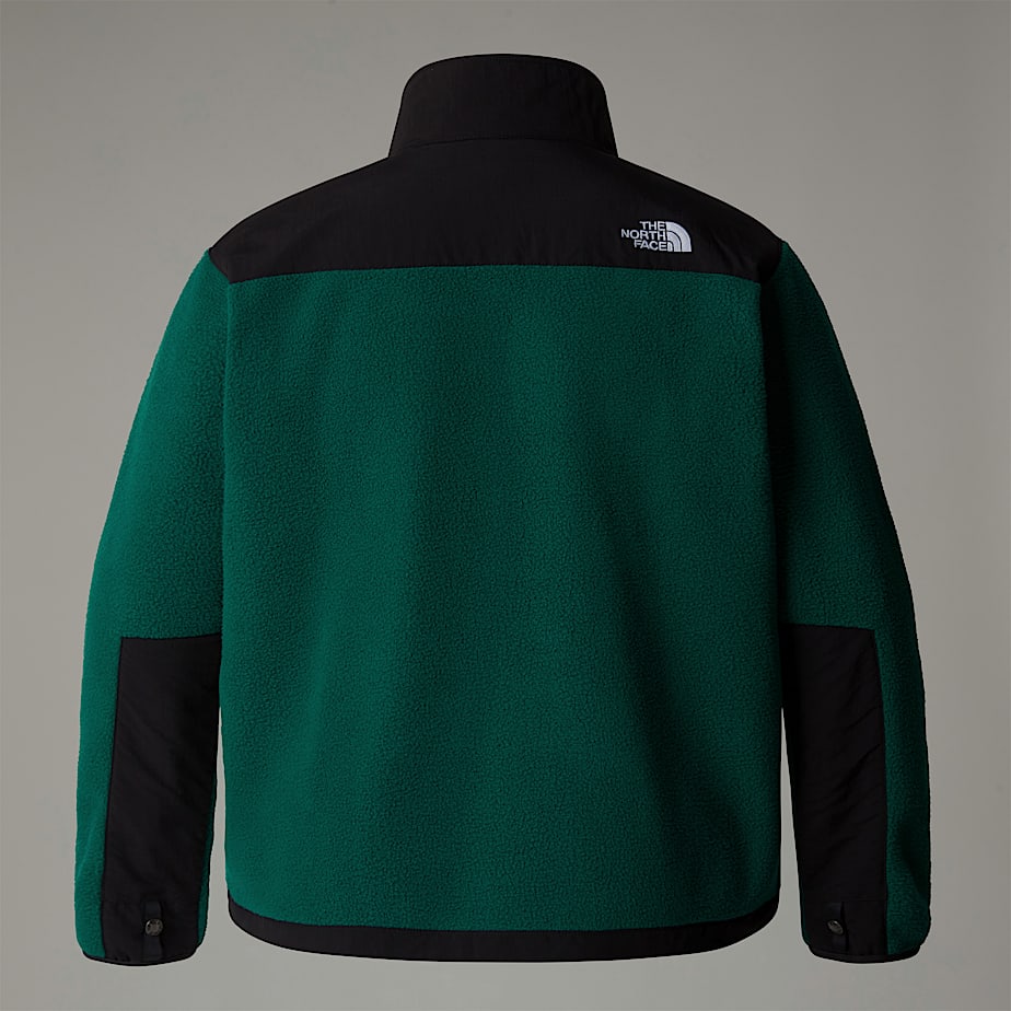 Jaquetas The North Face Plus Size Retro Denali Feminino Verdes | NF0A93P5J