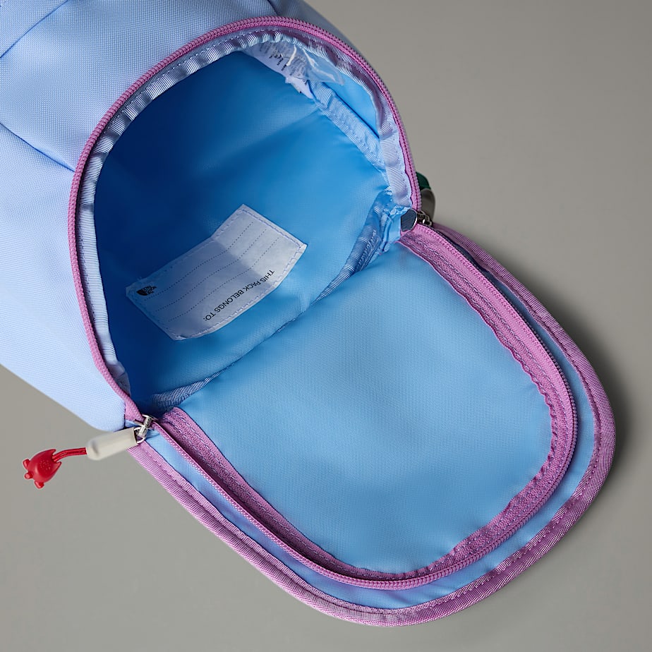 Mochilas The North Face Mini Explorer Criança Azuis | NF0A38P1Y