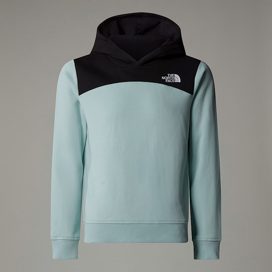 Moletom com Capuz The North Face Back Logo Relaxed Criança Turquesa | NF0A93X4V