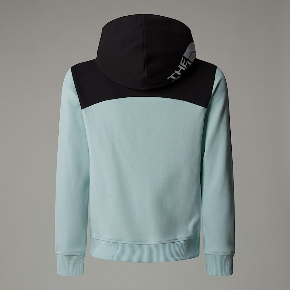 Moletom com Capuz The North Face Back Logo Relaxed Criança Turquesa | NF0A93X4V