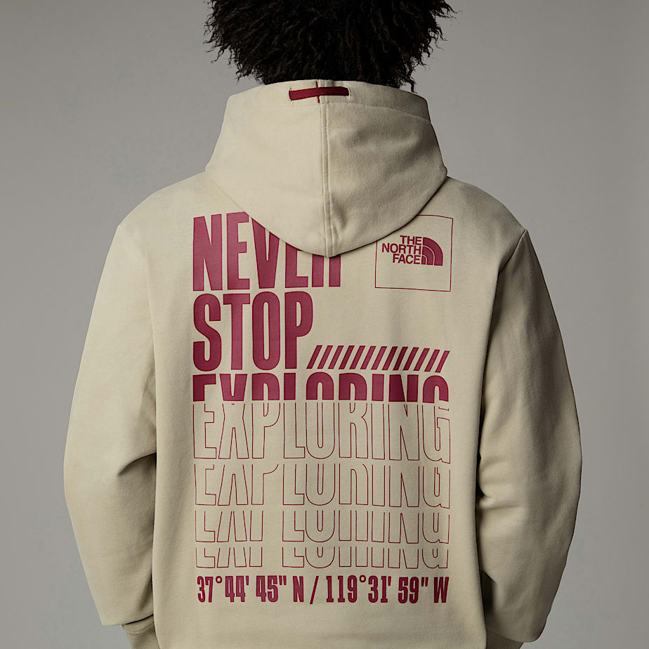 Moletom com Capuz The North Face Coordinates Masculino Cinzentas | NF0A61D4N
