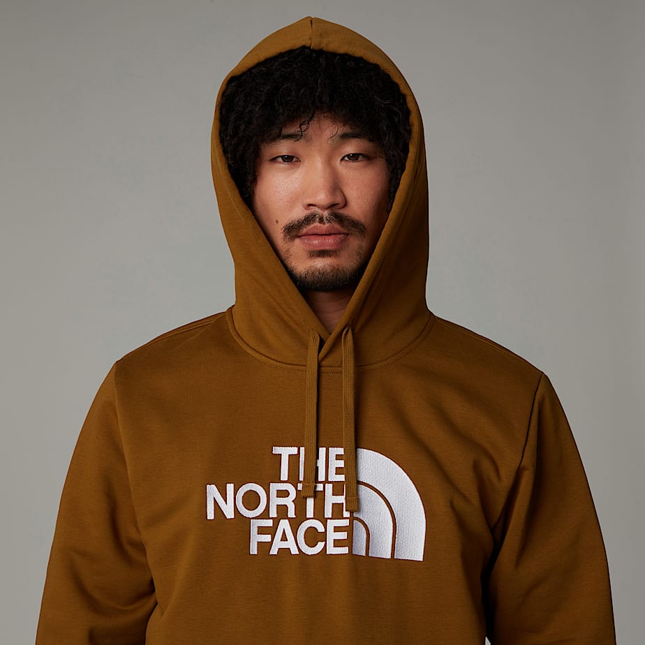 Moletom com Capuz The North Face Drew Peak Masculino Marrom | NF0A35V7M