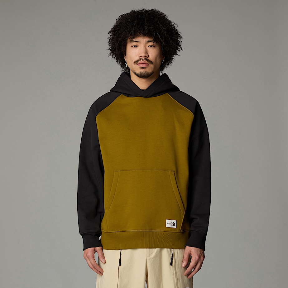 Moletom com Capuz The North Face Heritage Masculino Verdes | NF0A23J2O