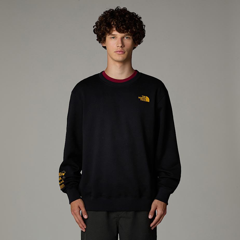 Moletons The North Face Outdoor Multi Graphic Relaxed Masculino Pretas | NF0A45Y8C