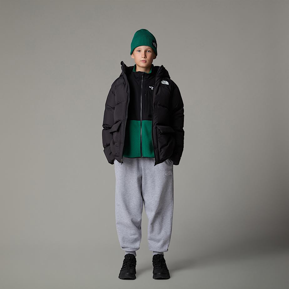 Parka The North Face North Down Fleece-Lined Short Criança Pretas | NF0A72O1J