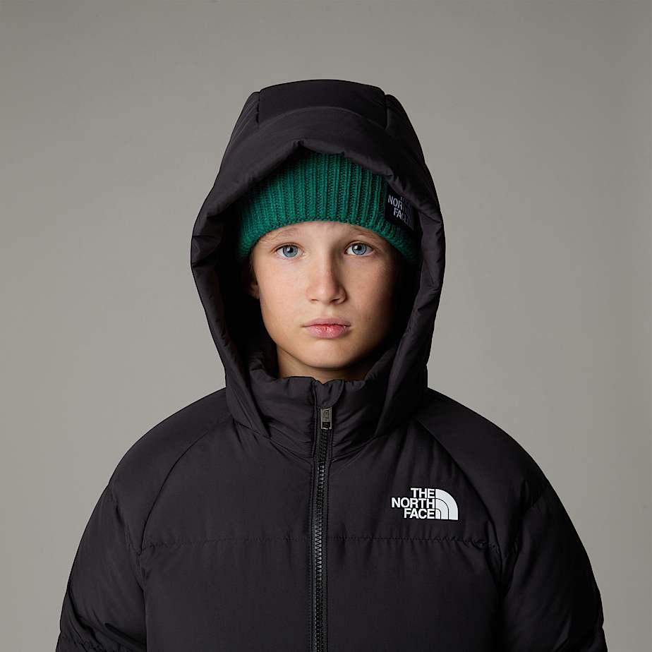 Parka The North Face North Down Fleece-Lined Short Criança Pretas | NF0A72O1J